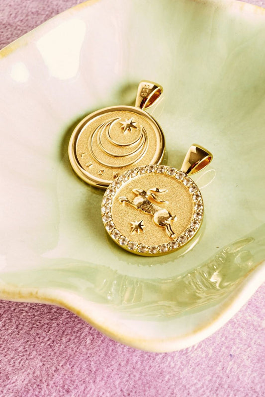 LUCKY Rabbit Small Embellished Coin Necklace