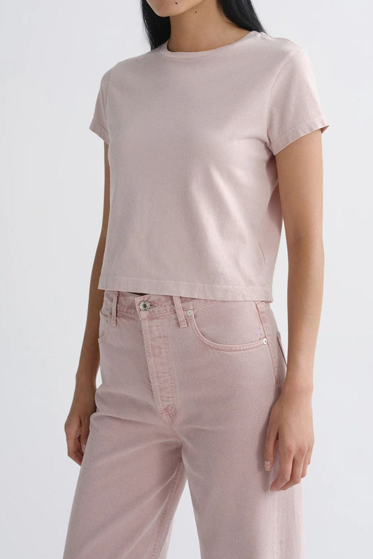 Adine Shrunken Tee in Wallflower