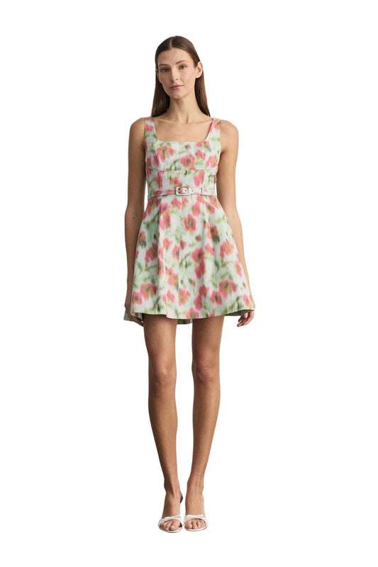 Paige Floral Taffeta A-Line Mini Dress