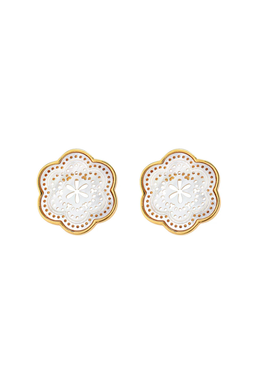 Tamarin Stud