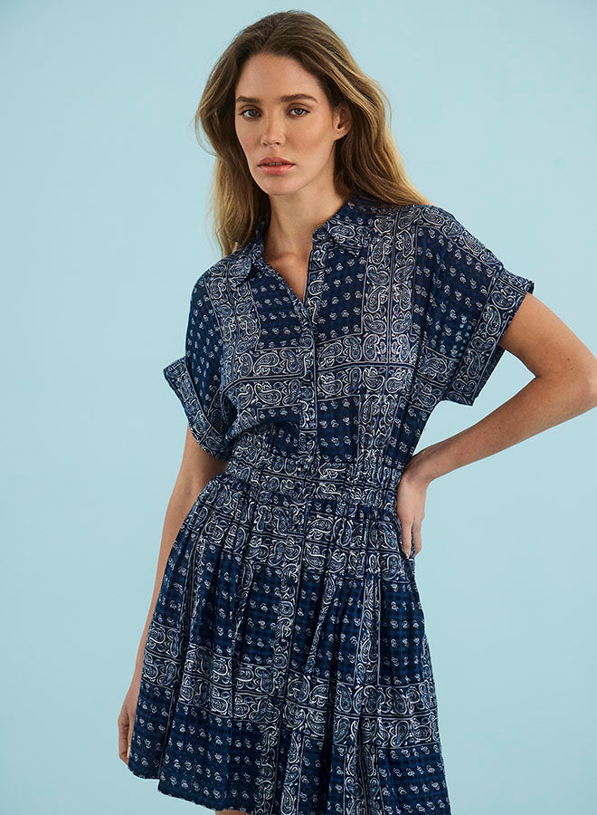 Howard Dress in Inkwell Paisley