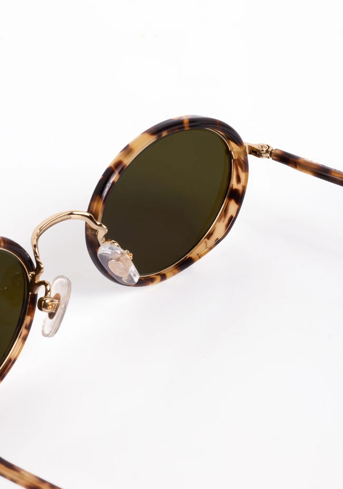 Kate in 12k + Nikko Tortoise