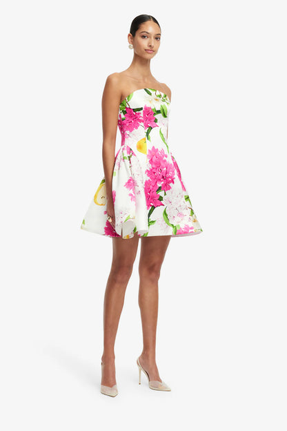 Reese Bustier Mini Dress
