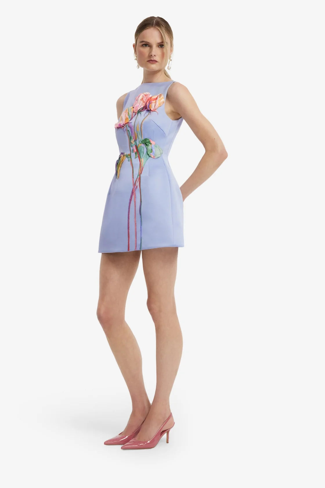 Ali Embroidered Boat Neck Mini Dress