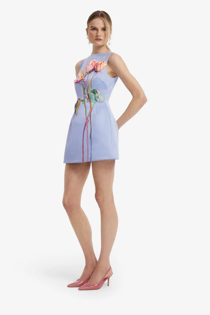 Ali Embroidered Boat Neck Mini Dress