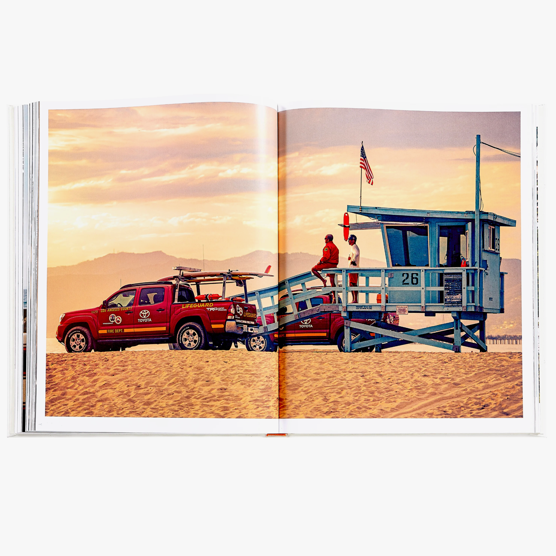 Beach Life - sale/damaged