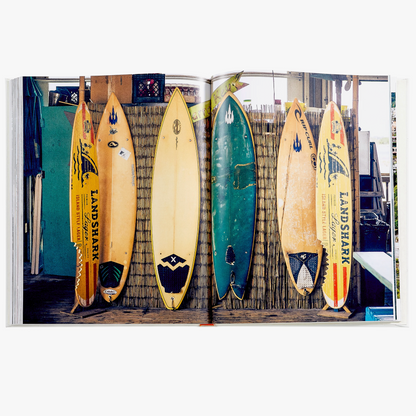 Beach Life - sale/damaged