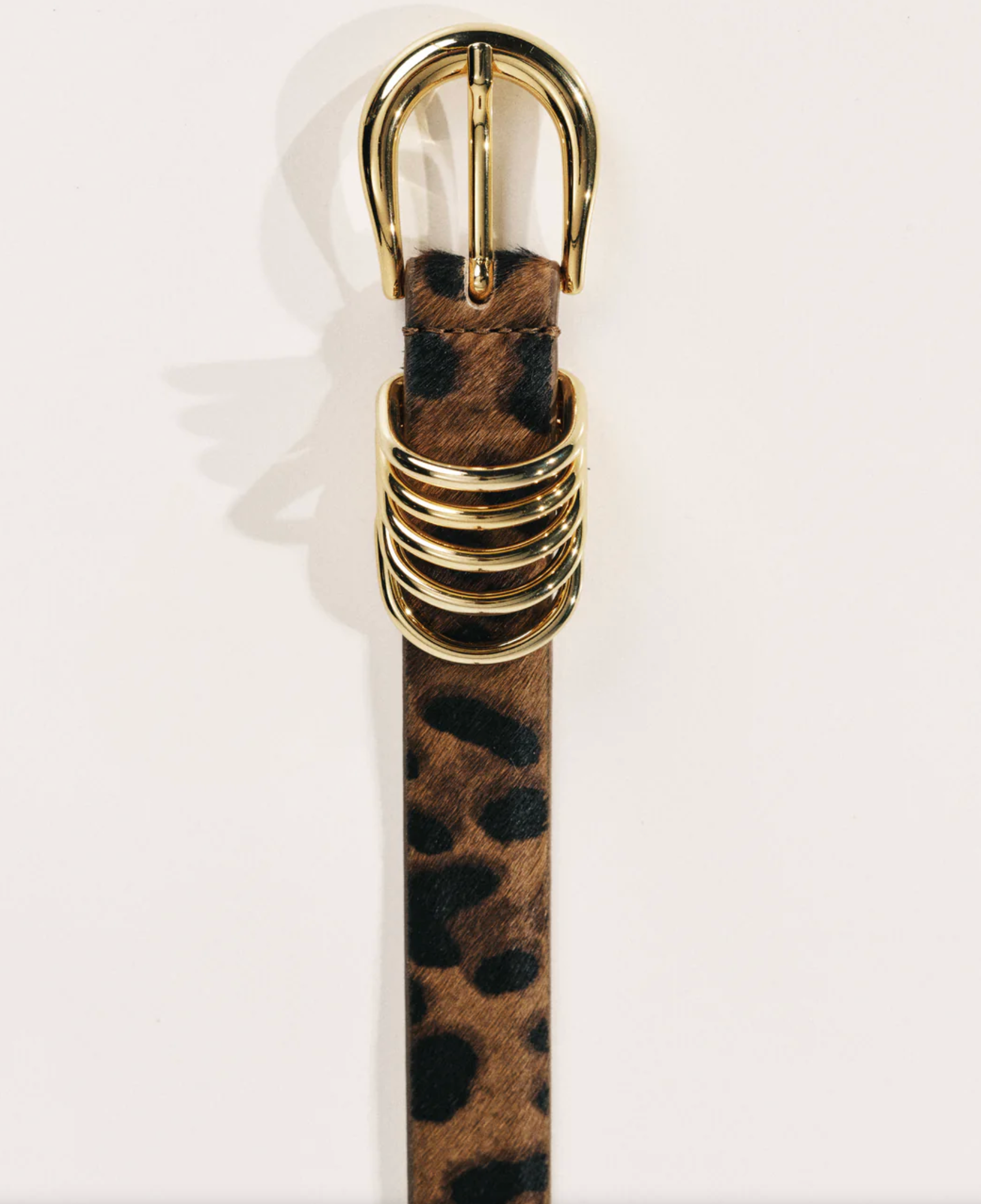 Hollyhock Jaguar & Gold