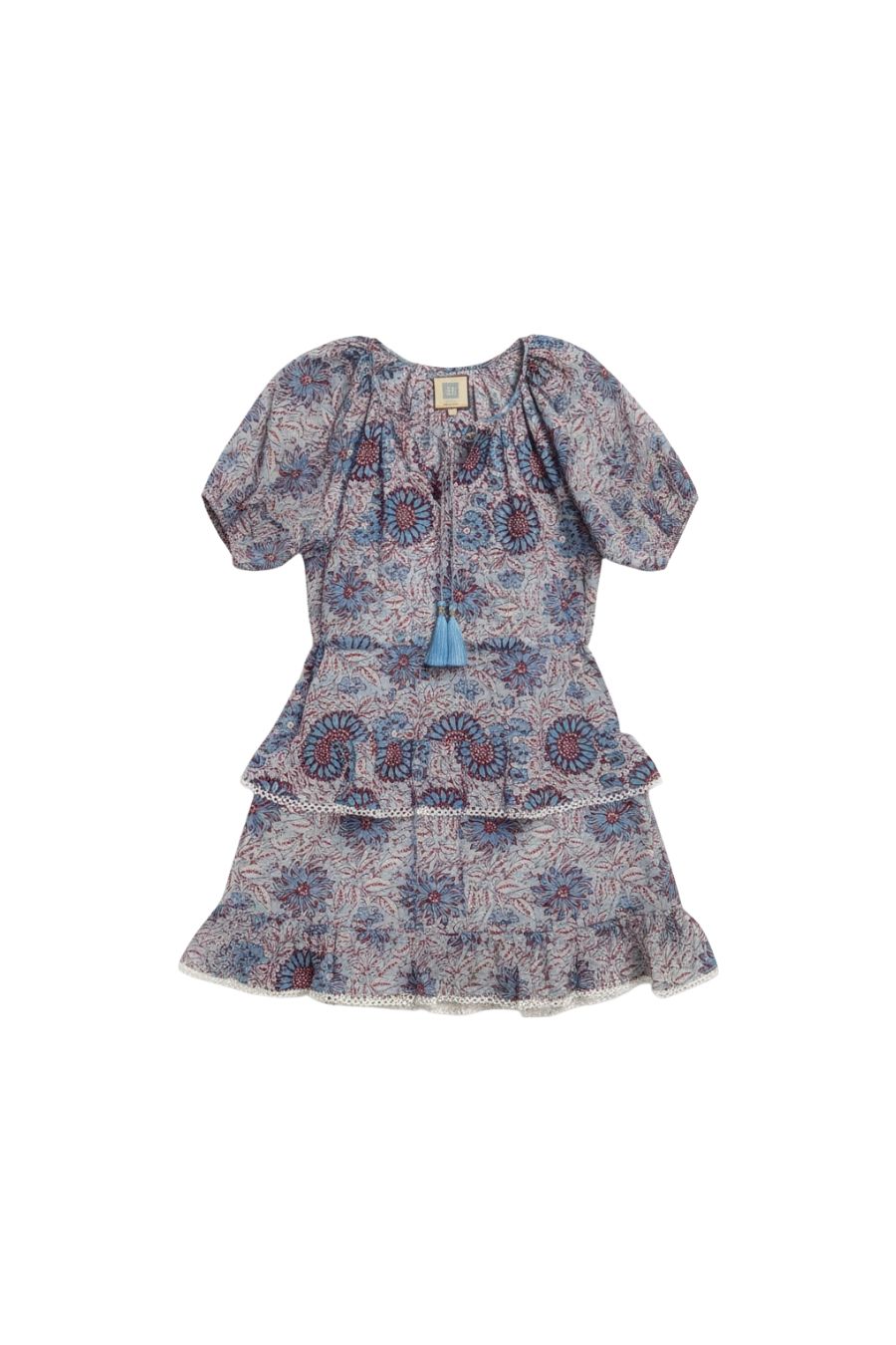 Roxy Mini Dress in Blue/Red Flower