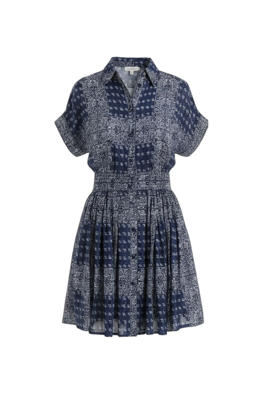 Howard Dress in Inkwell Paisley