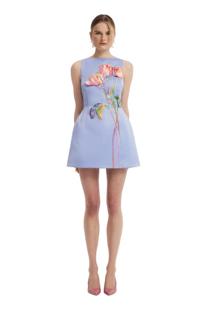 Ali Embroidered Boat Neck Mini Dress