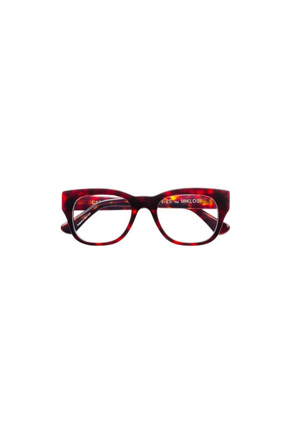 Miklos Readers in Turtle