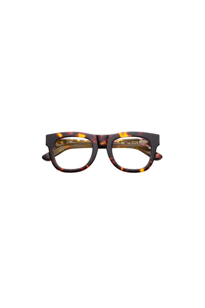 D28 Readers in Turtle