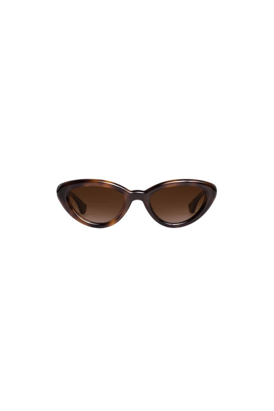 Sasha in Maple