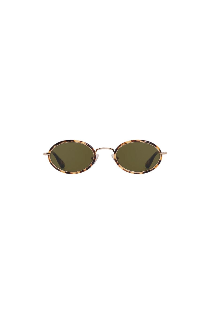 Kate in 12k + Nikko Tortoise