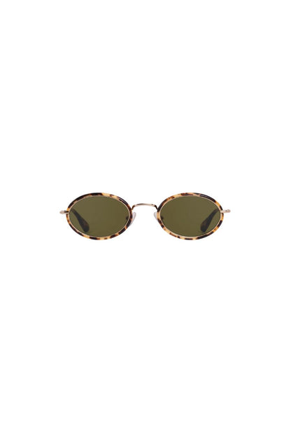 Kate in 12k + Nikko Tortoise