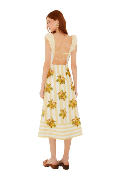 Lemon Birds Multicolor Cropped Dress in Multi
