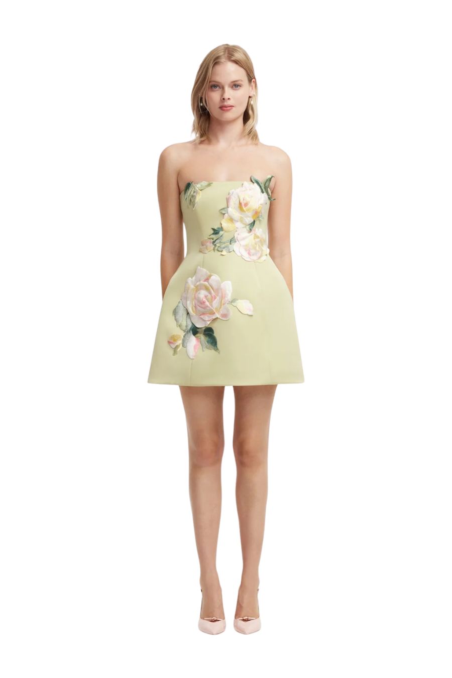Leo Lin Roselle Embroidered Bustier Mini Dress in Pistachio Rose, embroidered bustier mini dress