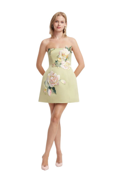 Leo Lin Roselle Embroidered Bustier Mini Dress in Pistachio Rose, embroidered bustier mini dress