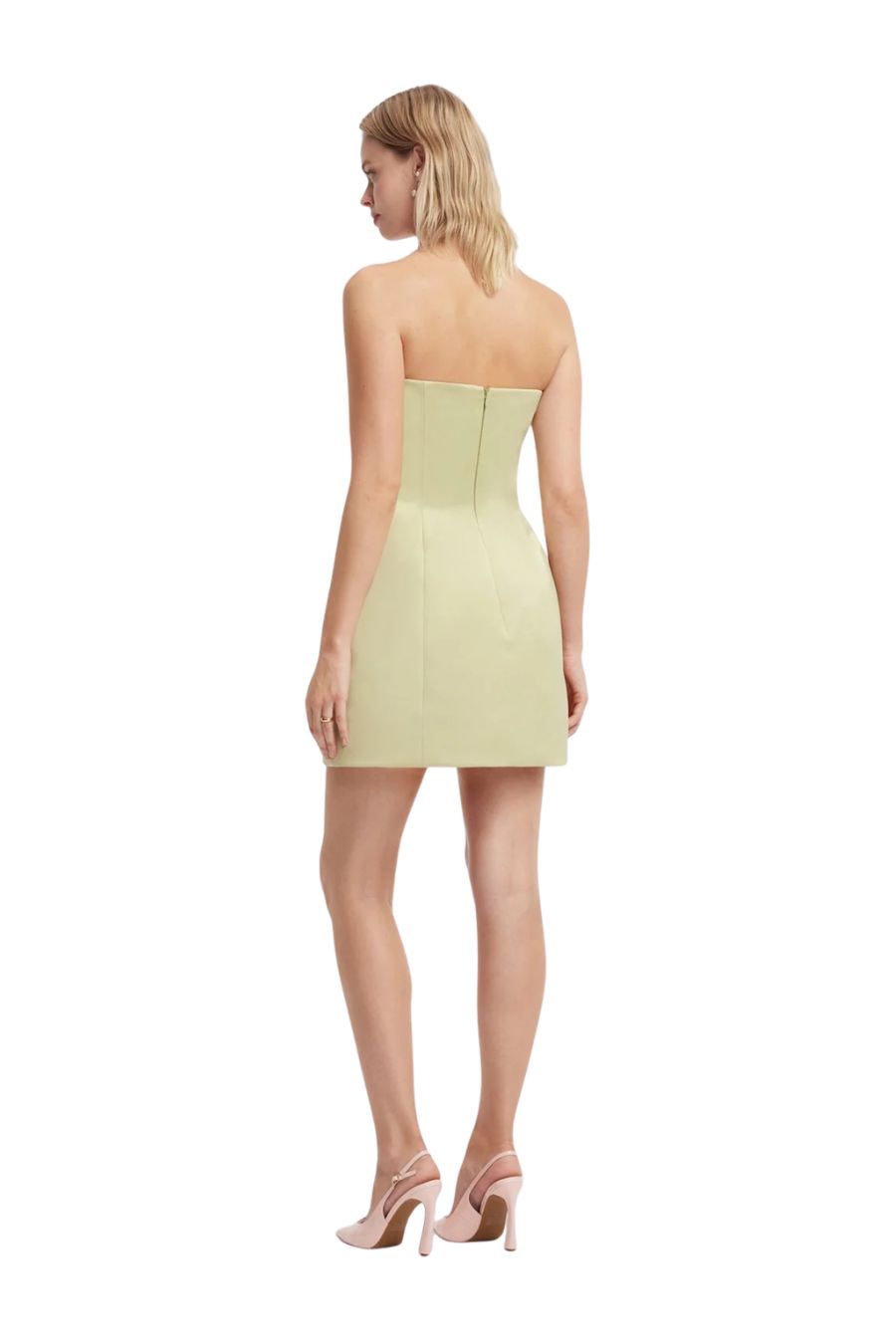 Roselle Embroidered Bustier Mini in Pistachio Rose
