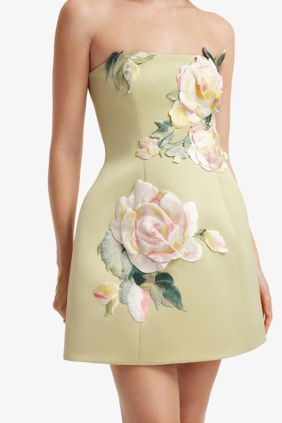 Leo Lin Roselle Embroidered Bustier Mini Dress in Pistachio Rose, embroidered bustier mini dress
