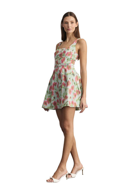 Paige Floral Taffeta A-Line Mini Dress