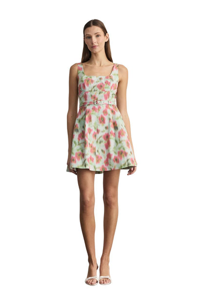 Paige Floral Taffeta A-Line Mini Dress