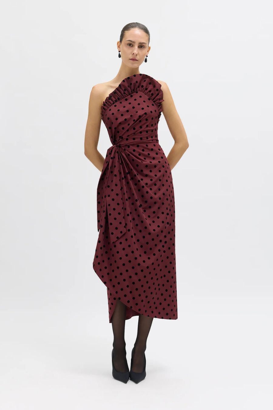 Charlotte Dress in Pinot Multi
