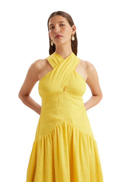 Zadie Dress in Lemon