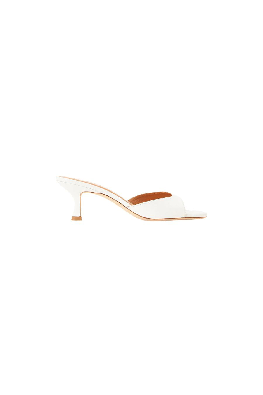 Brigitte Mule in Paper