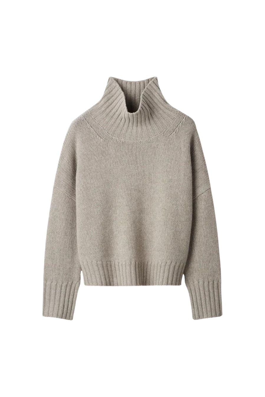 Girlfriend Turtleneck in Greige