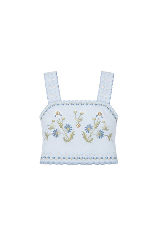 Audra Embroidered Top in Blue