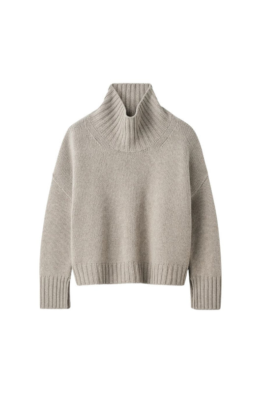 Girlfriend Turtleneck in Greige