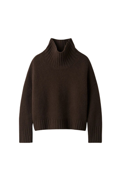 Girlfriend Turtleneck in Mocha