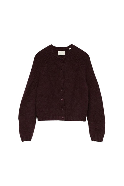 Darcy Cardigan in Red Umber
