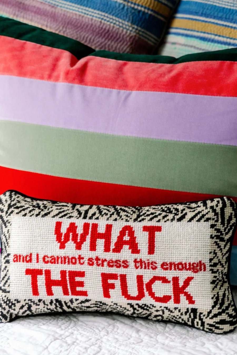 WTF Needlepoint Pillow