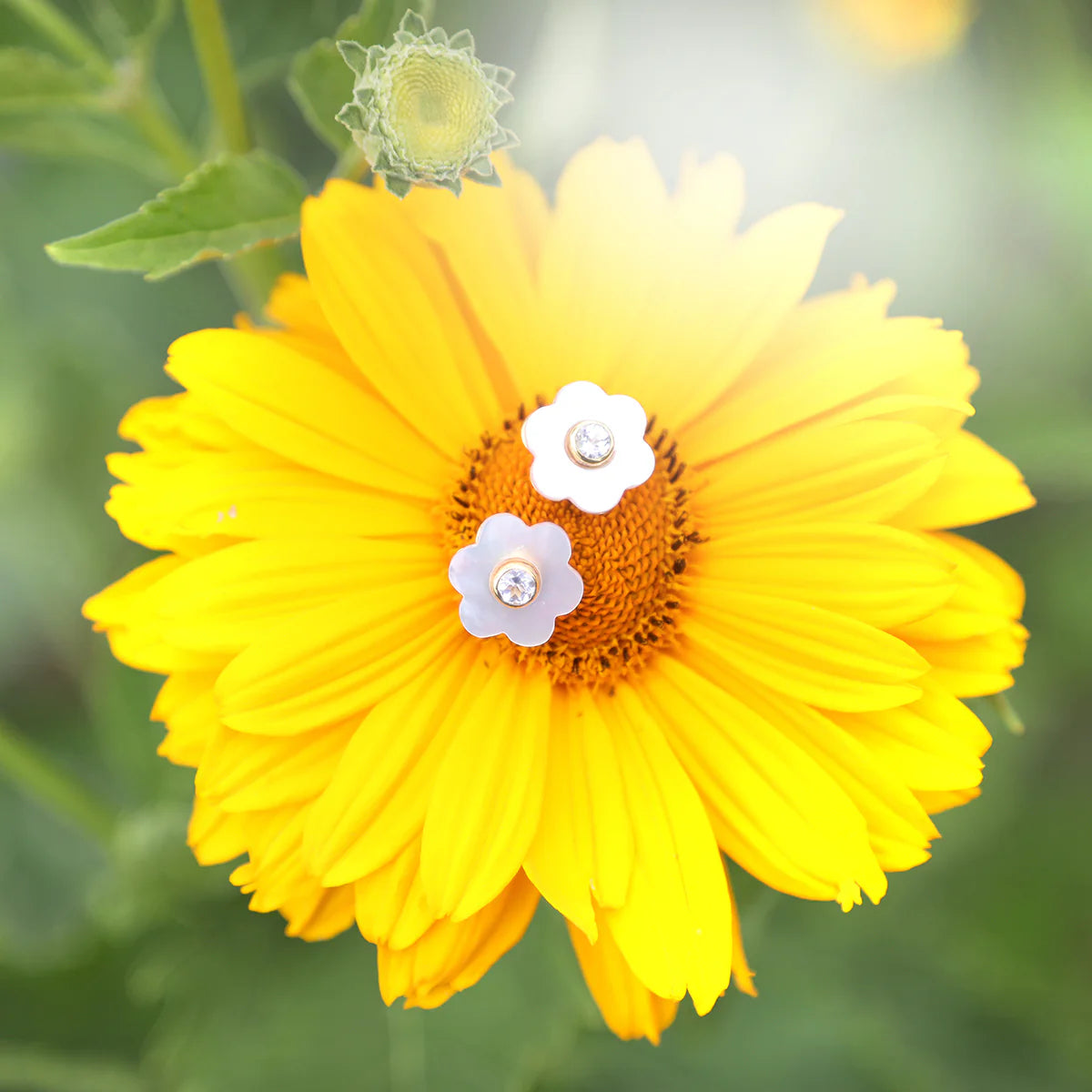 Garden Stud